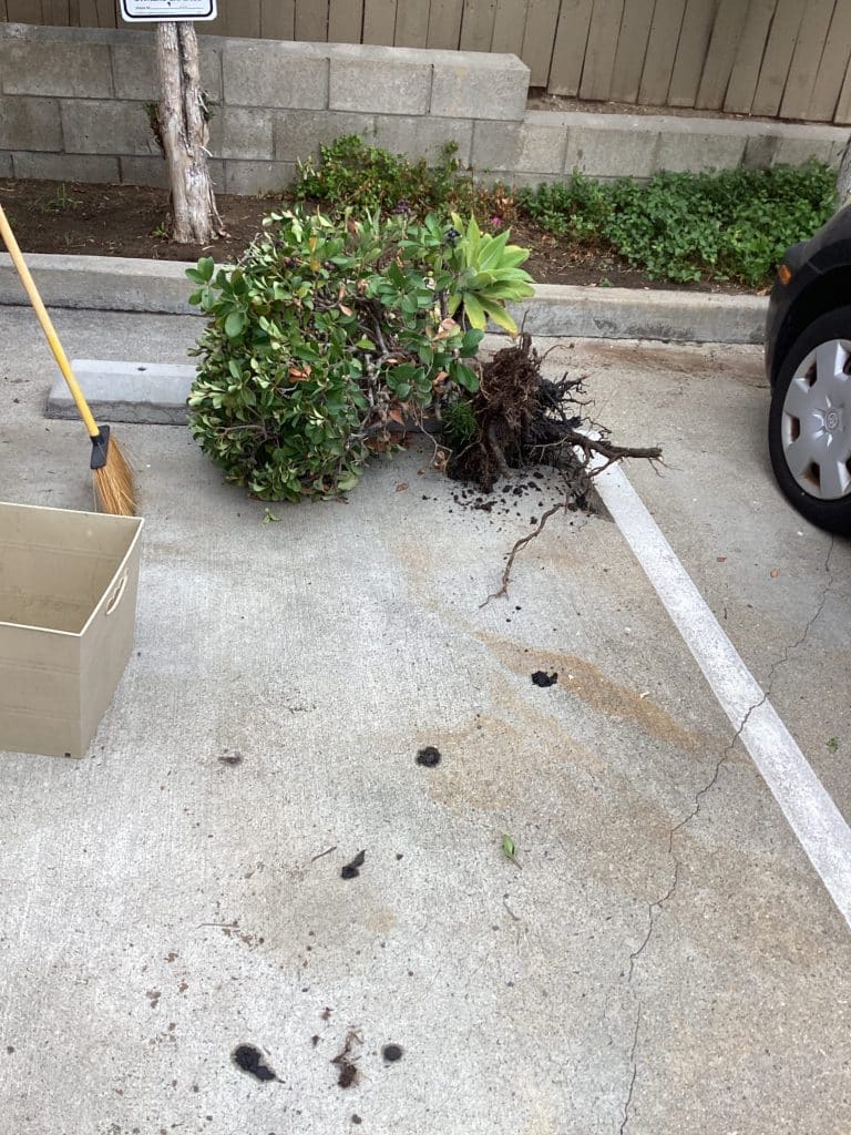 PVC Pipe Repair in Carlsbad, job photo 3 of 3, taken on site by the technician