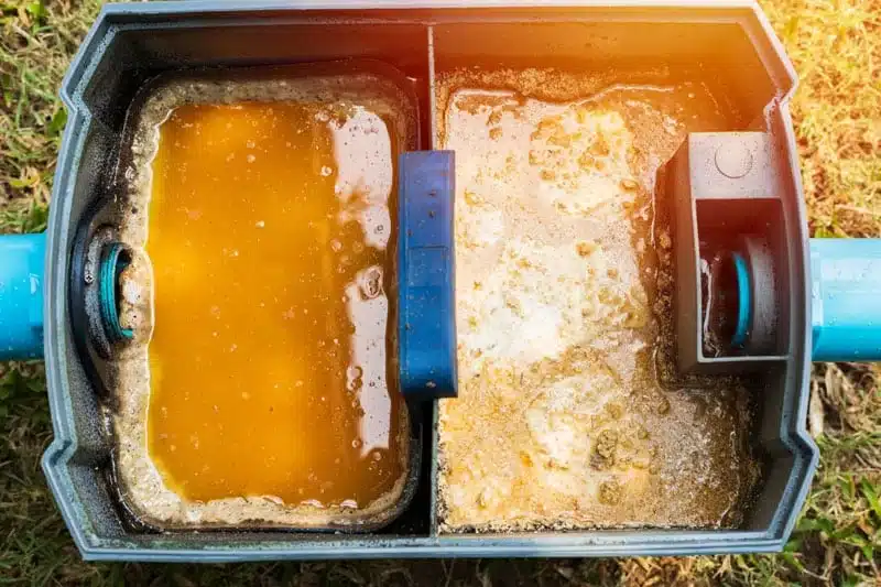 Open grease trap with separated grease and wastewater in its chambers